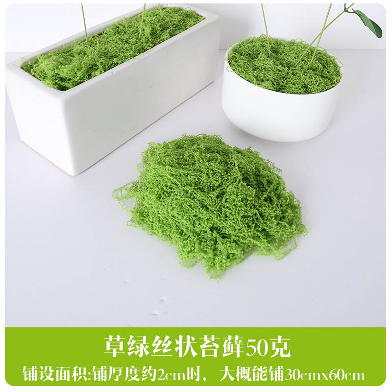 Musgo Fibroso Frutal Verde - 50g