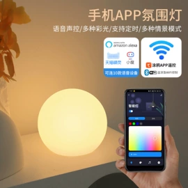 落地灯;庭院灯;装饰台灯