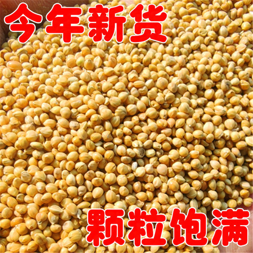 Selected yellow millet, small and medium-sized parrot feed, new bird food, millet, tiger skin, black phoenix, peony, large grain millet