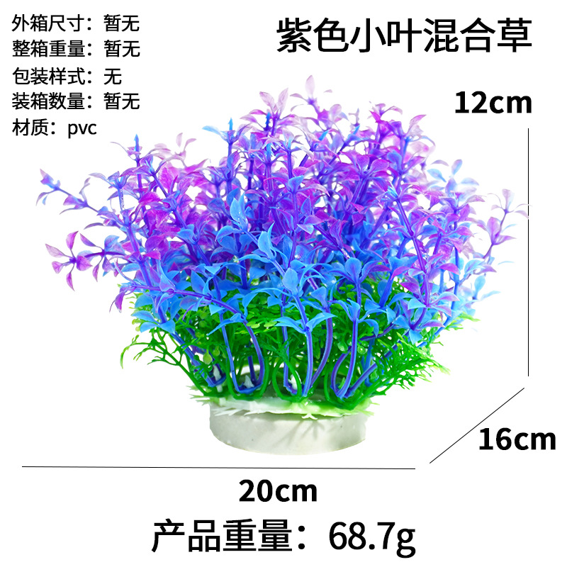 Hierba mixta de hojas moradas (12cm)