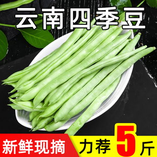 �ļ������r�Fժ����L�ⶹ���r�ґ������߲�ܿ���Fժ�˶�������]