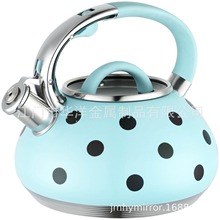 Stainless steel Whistling Kettle QџˮֱָQщ