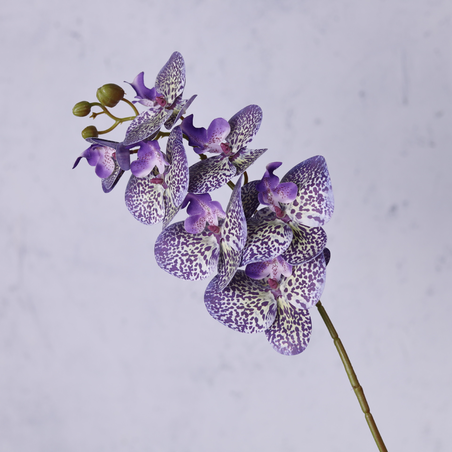 Impresión 3D de 7 cabezas de orquídeas mariposa flor de decoración de flores de alto nivel flor de nicho decoración floral decoración de sala de estar