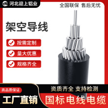 高壓架空線專用電子鋁絞線導電抗腐蝕電力工程輸電電纜導體