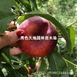 �Ҙ����޽���ϼ����Ҙ���6�³�����������Ϸ������Nֲ������