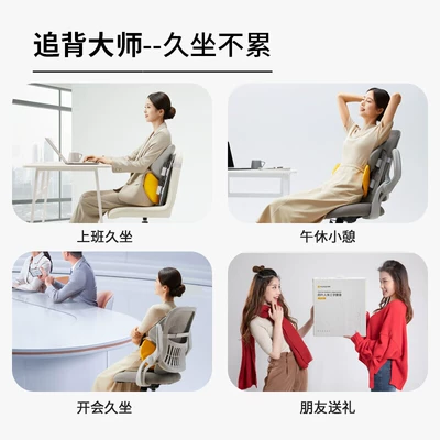 backrest support, lumbar support – Waist support