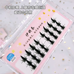 伊妍奈淘氣精靈小惡魔假睫毛自然仿真濃密單簇分段式黑梗漫畫睫毛