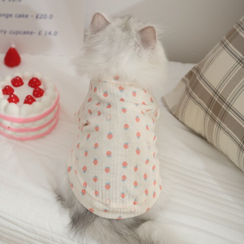 Cat clothes anti-hair shedding plush British short pet summer blue cat kitten air conditioning vest cat thin summer