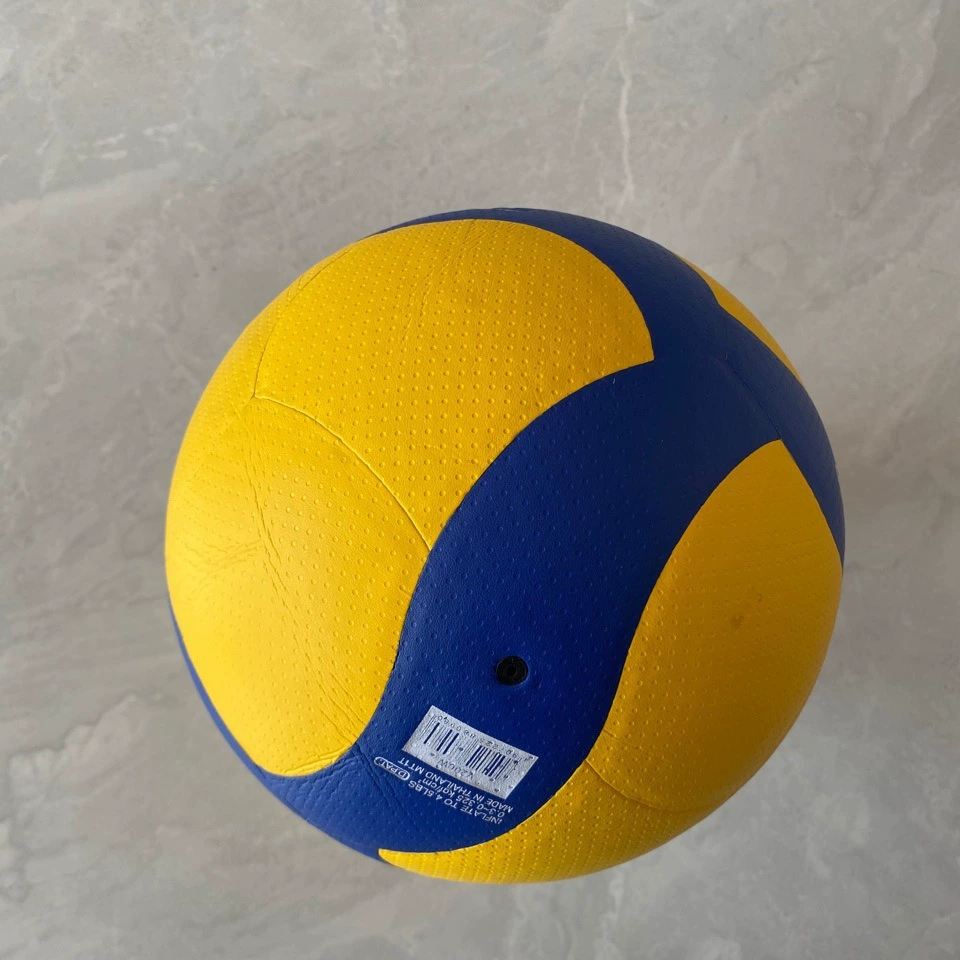 PU Волейбол Пляжный волейбол Обучение Волейбол