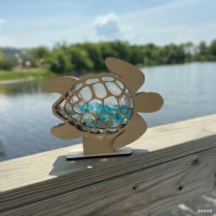�羳 �¿�Sea Turtle Sea Glass Display Box�����Π�ؐ��չʾ��