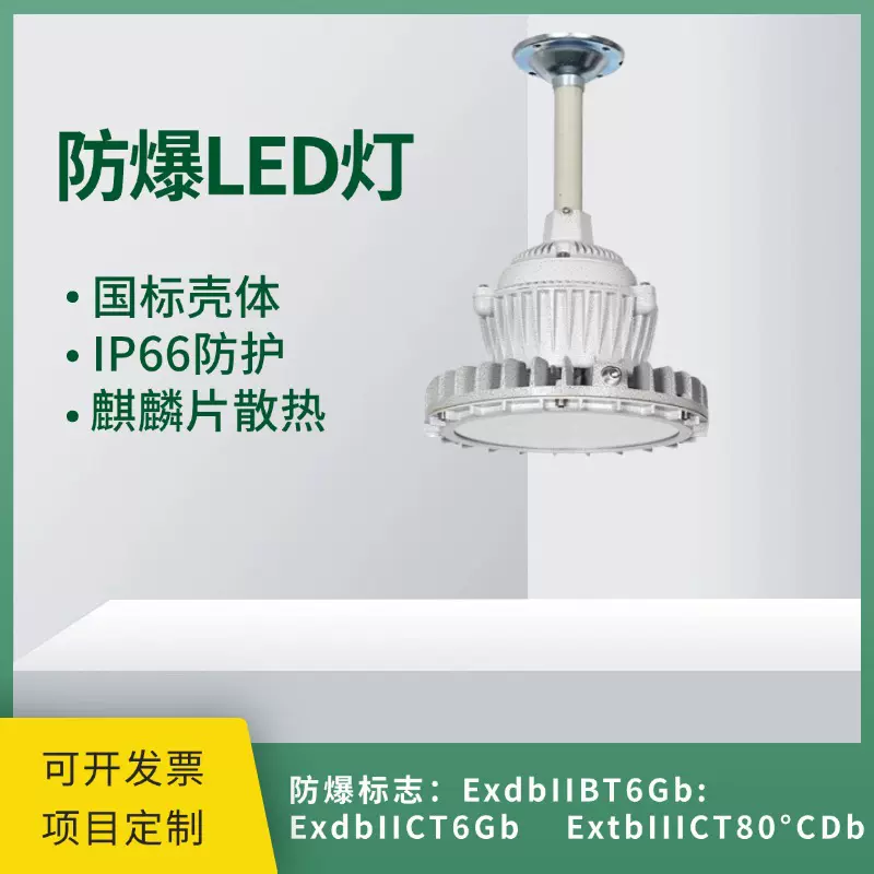 防爆led灯仓库厂房专用化工厂车间防尘防水防腐吊杆装防爆照明灯