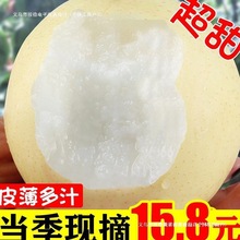 �ӱ��ʹ���������]���r����ˮ�������֭���������ӽ�ѩ�������