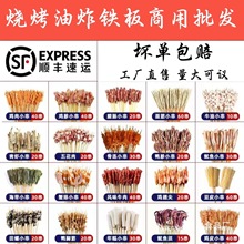 ְСţ⴮cըFƷßʳll