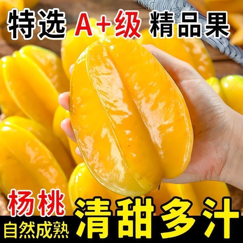 新鲜采摘甜杨桃鲜果五角星水果5斤装大果整箱包邮洋桃红一级果