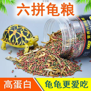Small Turtle Feed, Universal Turtle Food, Dried Fish, Dried Shrimp, Baby Turtle, Brazilian Turtle, Turtle Feed Particles, Special Food Grain Factory