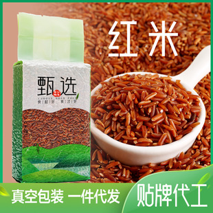 �t��500����հ��b�|����������s�Z�����ּZ��� �t���׏S�����l