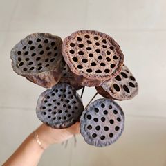 Natural dried lotus flower pods, lotus flower with seeds, Zen-style, vintage forest system decorative dried flowers, lotus flower head, photography props, bulk dried flowers