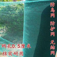 果園圍欄防鳥網養雞網家禽養殖網櫻桃樹網全新塑料網圍欄防護天網