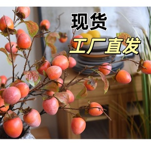 1�����l25����Ʒ���Sֱ�N��������ʯ������t���lؔ��������С