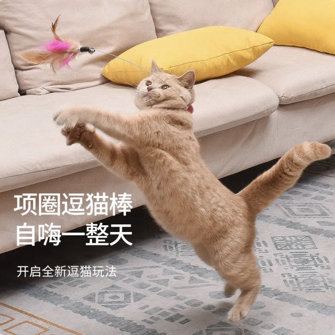 猫咪自嗨互动项圈逗猫棒解闷耐咬成幼猫多功能通用可调节羽毛玩具