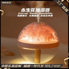 越境新品永生花加湿器雰囲気付き夜灯微景観永生花空気浄化補水加湿器