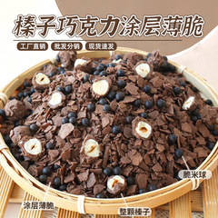 Pengye ダークチョコレート ヘーゼルナッツ クリスプ チョコレート ベーキング材料 デザート サンドイッチ ケーキ デコレーション 小麦クリスプ コーティングされた薄いクリスプ