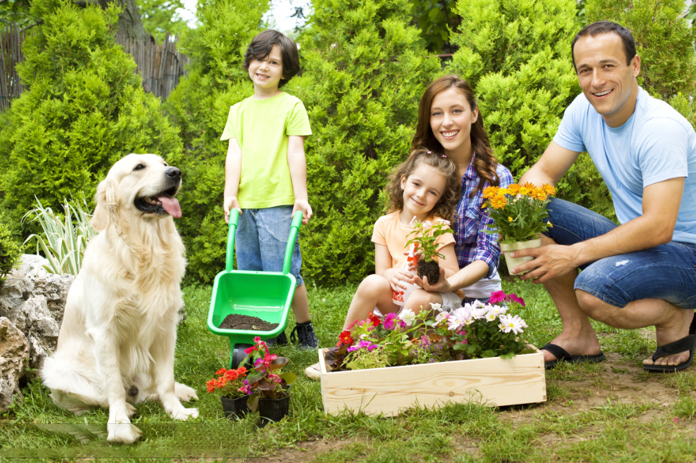 微信截图_20230701154232