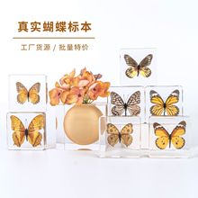 ���l�挍�����˱���N���߃�ͯ��Ȼ�ƌW�YƷ�ղ�չʾ�Y�����