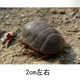 other product image