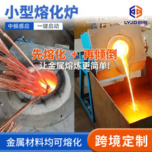 感应熔炼炉小型中频电源金属感应熔化炉节能熔金炉中频炉冶炼设备