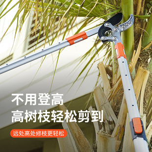 �@�ֹ�ˇ�޼���֦�������ɶ�����s���~����֦���h����������ӵ�
