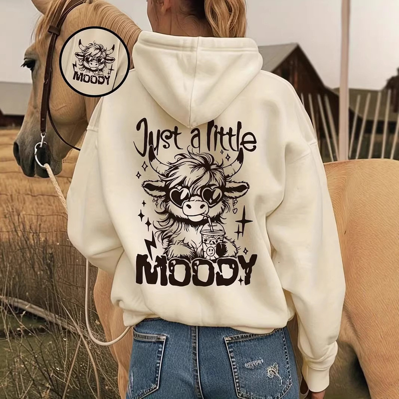 2025 American Style Spring, Autumn, and Winter New Letter Print Loose Fleece Hooded Sweatshirt for Men and Women, Casual Style