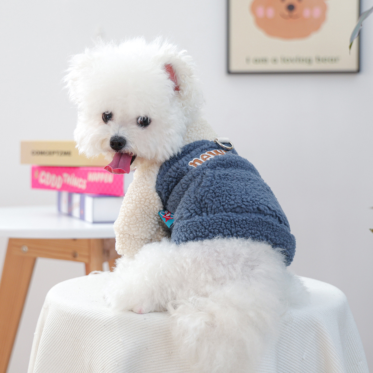Ropa de mascotas otoño e invierno nuevo cálido forro de lana estilo coreano suéter cálido color frío-resistente Cordero polar tracción suéter