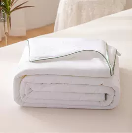 其他毛毯;羽绒被;纤维被