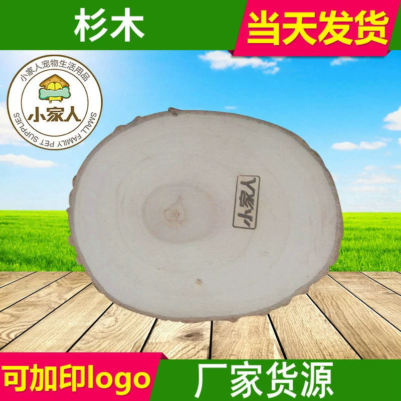 Яблочный шпунт наклонной огранки Одношнековый трамплин для хомяка Тоторо практичный Новый Педальный питомец Ежедневная игра прыгающая платформа