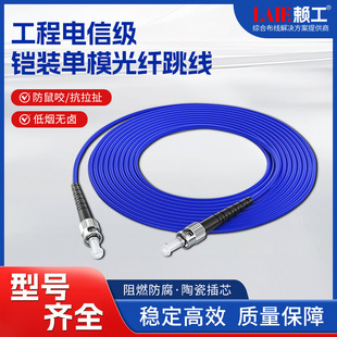 Armored Fiber Jumper Single-Mode Single-Core Room Outdoor Anti-Mouse Bite Sc to Lc-Fc-St2/3/ 5.1m m Pigtail
