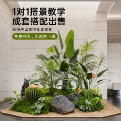 仿真绿植盆栽植物造景室内装饰摆件搭配场景橱窗商场内景观仿真树