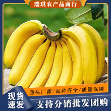 �����쌚�㽶10����������banana����ˮ�����l��ɽ��Ž���ɽ�a��