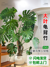 ͏d҃ȿ͏d~Ϙֲҕ߅;Gֲ