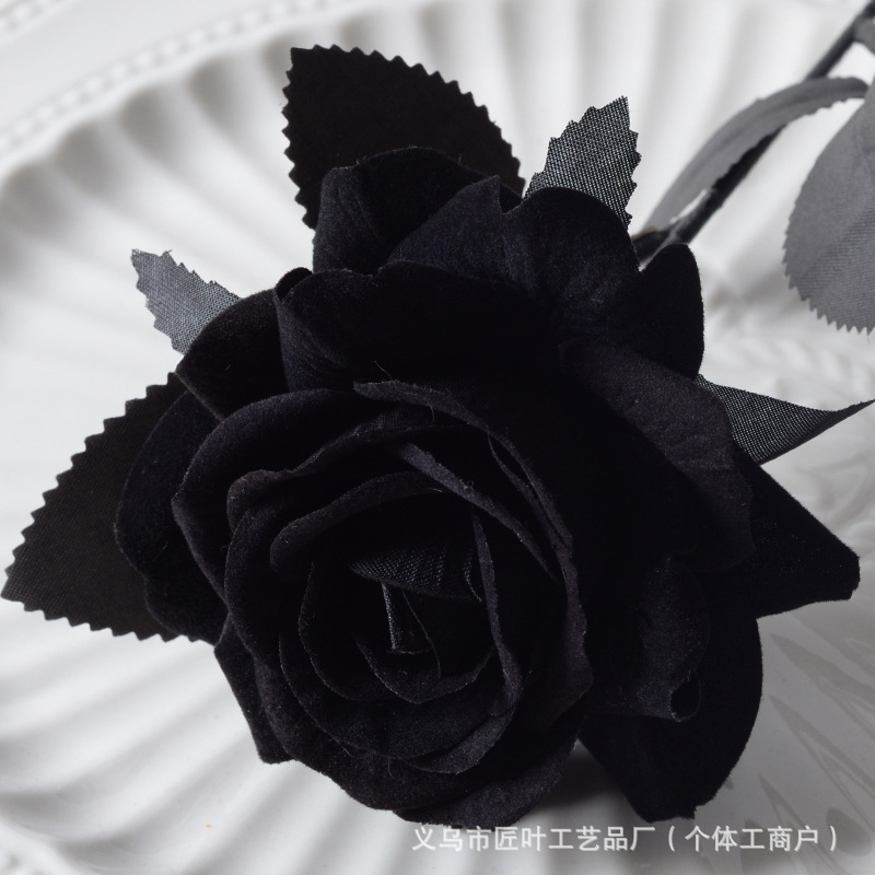 엘사 로즈 올블랙