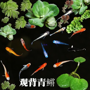 �^�����F�~�ǹ����w��֧���{�V�ص�ˮ�~С���^�p�~�������\�����~