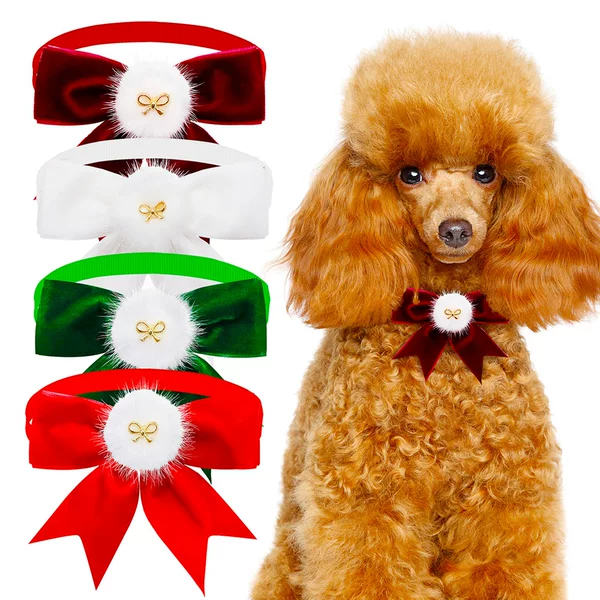 Christmas Pet Bow Tie Solid Color Bow Tie Flower Pet Jewelry Cross-border New Suede Adjustable Collar