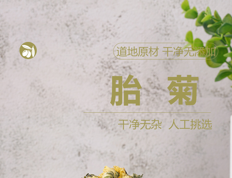 Tai Ju Chrysanthemum Buds (Chrysanthemum morifolium) — Dried Flower Tea, 35g Jar key features