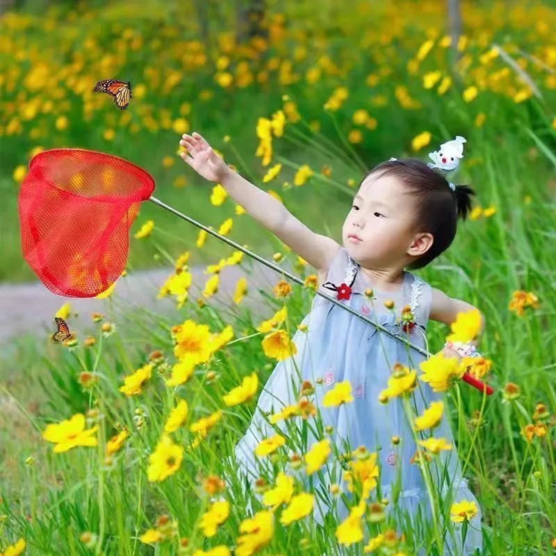 子供が魚網をすくい取ることができます。