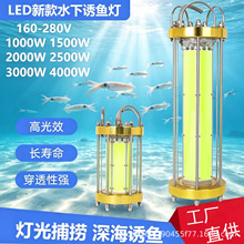 �羳��������LED�T�~�����~���~����ͧ��ឺ��ҹូ��~��