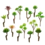 金华带杆代发多肉植物插花
