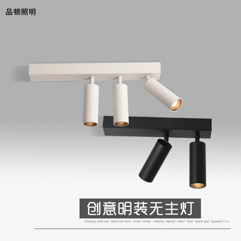 LED surface-mounted single-headed double-headed three-headed spotlights ceiling lights for corridors home cloakroom minimalist luxurious spotlights for passageways wine cellar