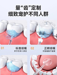 包邮电动冲牙器洗牙器家用便携超声波去除牙石牙垢牙齿水牙线活塞