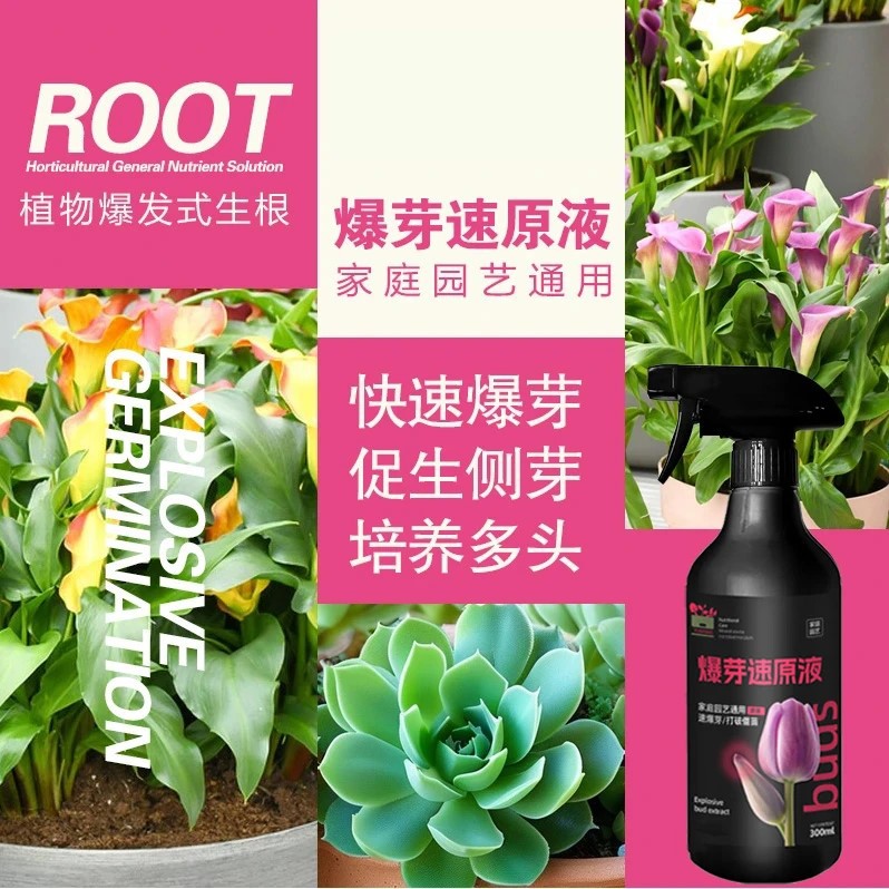 商品图