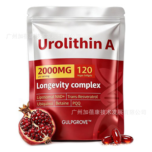 ���R�d������ʯ��A�ͺ�ܛ�z��Urolithin A֬�|�w��޼�J��tk�� ��